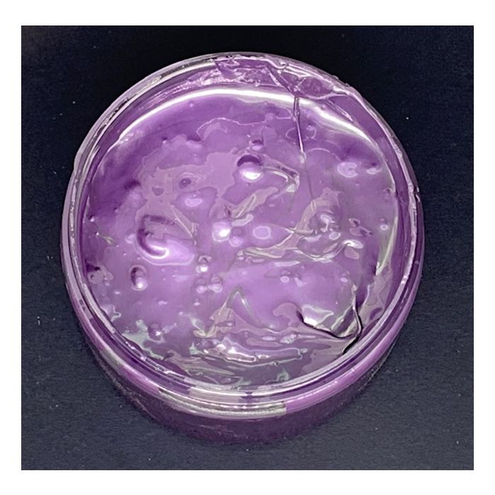 Shimmer Amethyst in the pot