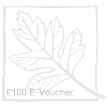 £100 Gift Voucher