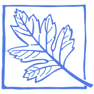 Stay Open Olivers Blue